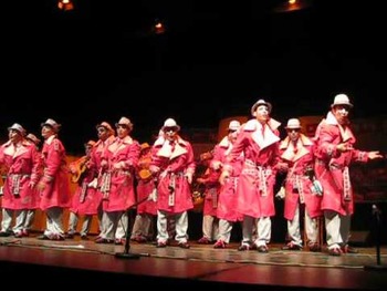 Comparsa "Los Fotógrafos" - Carnaval de Málaga 2013